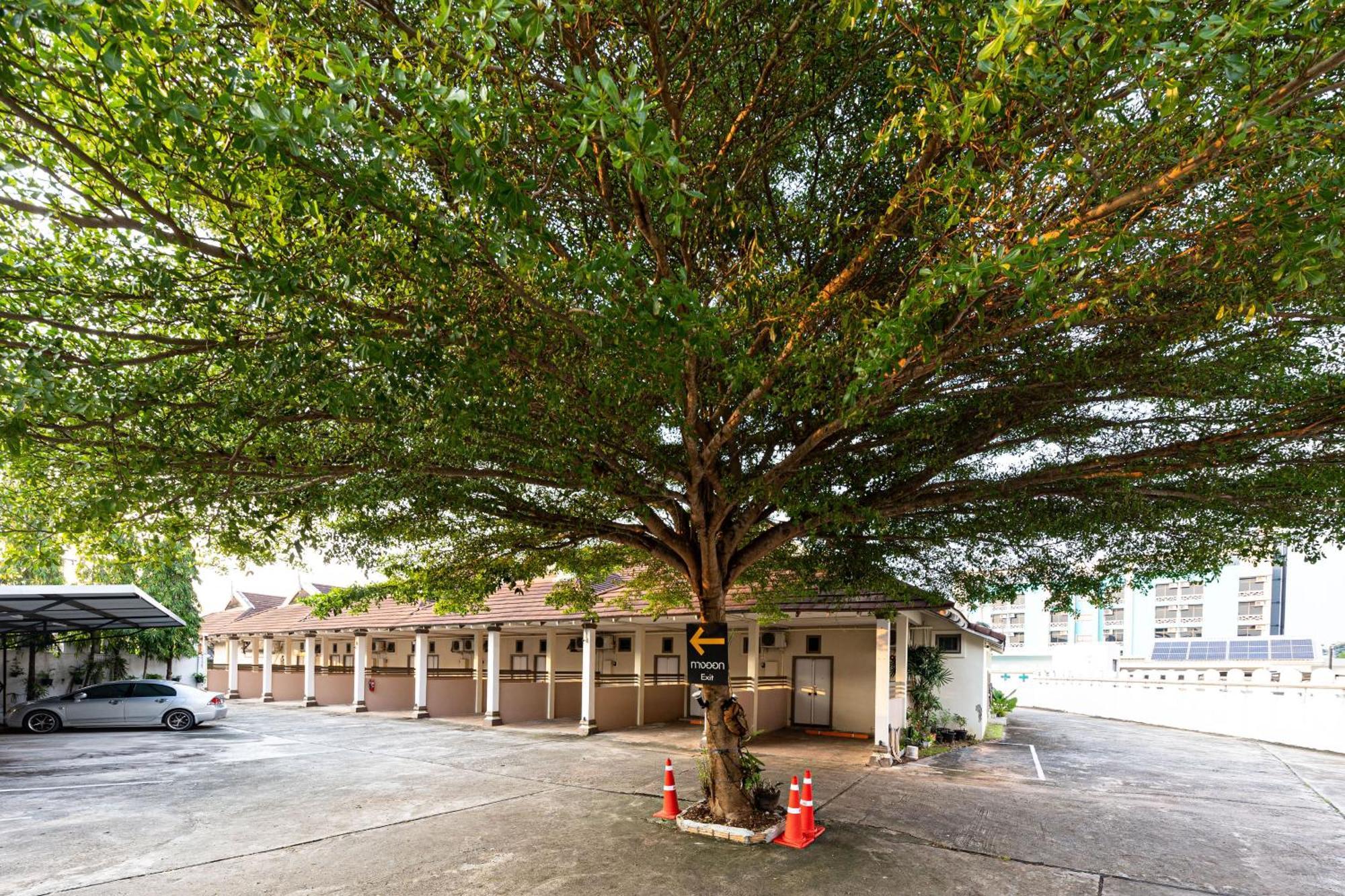 Sleep Hotel - Sha Certified Surat Thani Exterior photo